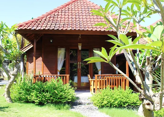 Bamboo Jungle View