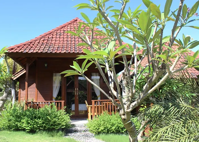 Bamboo Jungle View